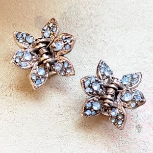 Beautiful Blue Rhinestone Silver Hair Clips